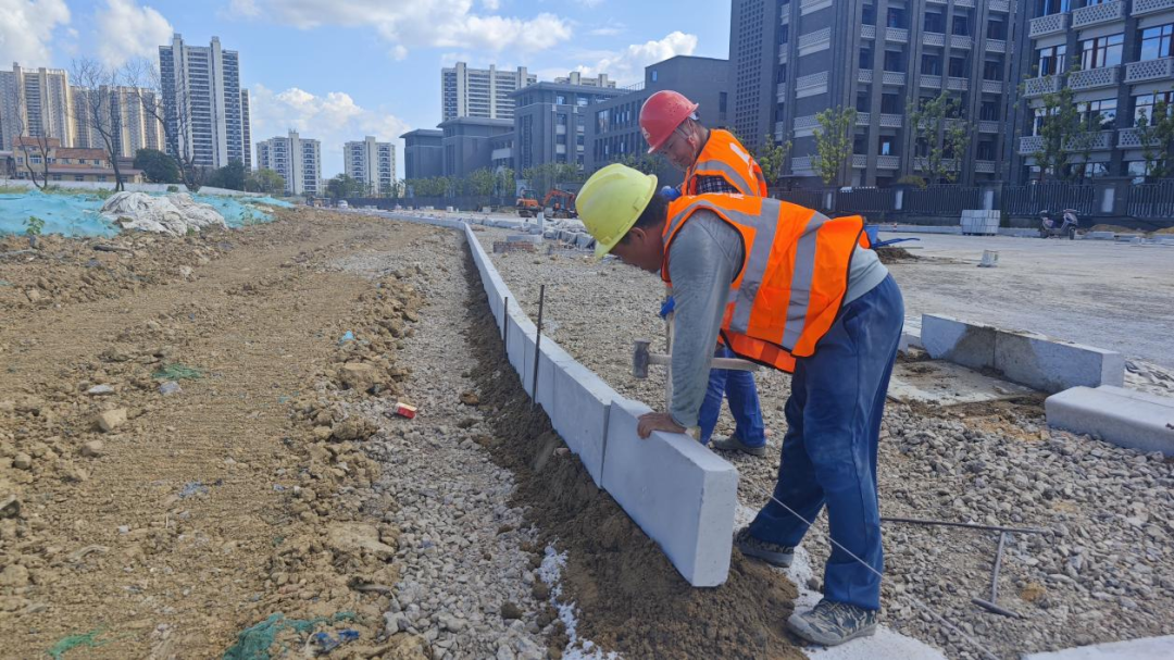 1754036505195389.png bd942a0c1aa8c60eea12aa9169a3daf1_640_wx_fmt=png&from=appmsg&randomid=c2ralnry&tp=webp&wxfrom=5&wx_lazy=1.png